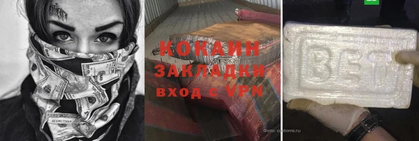 прущие грибы Наволоки