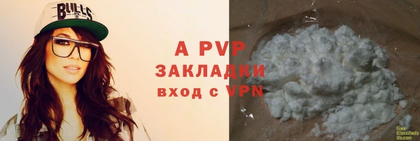 прущие грибы Наволоки