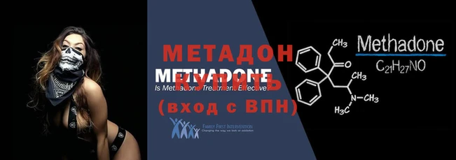 прущие грибы Наволоки