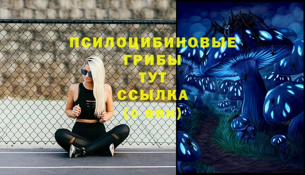 прущие грибы Наволоки